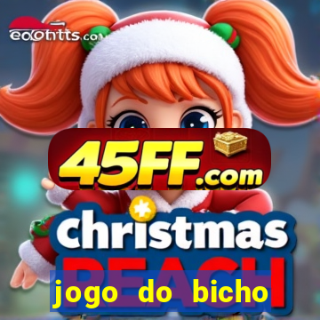 jogo do bicho crash bingo